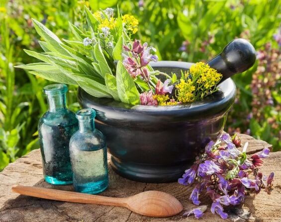 Herbes
